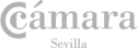 Portal de empleo